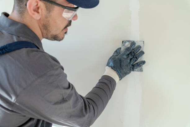 Best Mold Remediation for Healthcare Facilities  in Hampton Manor, NY