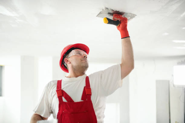 Best Mold Odor Removal Services  in Hampton Manor, NY