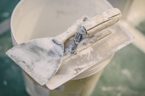 Best Mold Removal for HVAC Installations  in Hampton Manor, NY