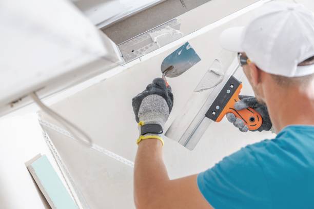 Best Mold Documentation for Insurance Claims  in Hampton Manor, NY
